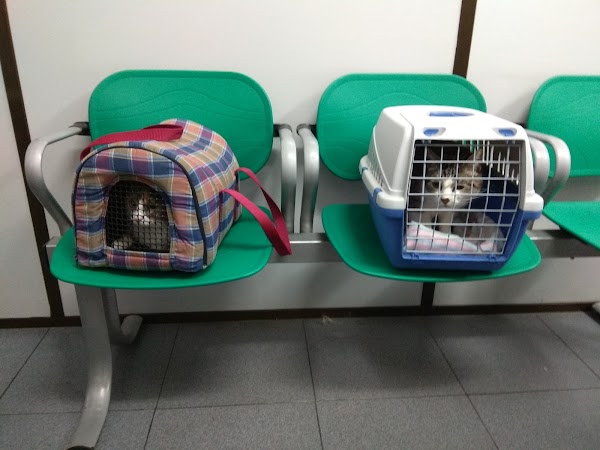 Clínica Veterinaria ALBEITAR