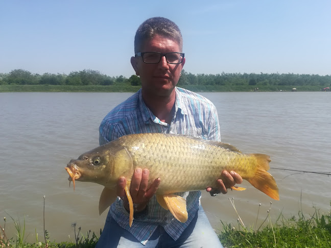 Értékelések erről a helyről: Frici tó, Szeged - Szórakozóhely