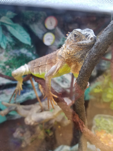 Shopping Mall «Bond Shopping Center», reviews and photos, 1891 S State Rd, Upper Darby, PA 19082, USA