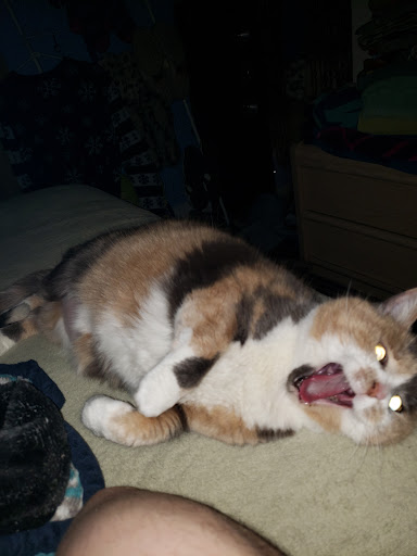 Pet Supply Store «Beast Buffet, L.L.C.», reviews and photos, 130 10 1/2 St, Monroe, WI 53566, USA