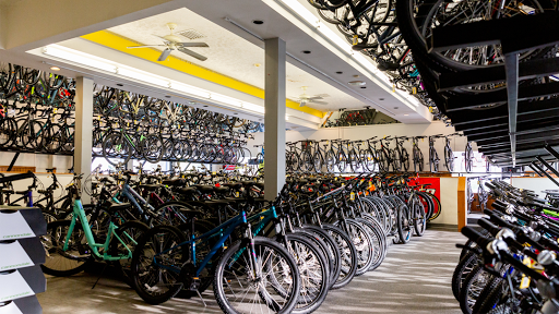 Bicycle Store «Bikeway», reviews and photos, 1581 NY-376, Wappingers Falls, NY 12590, USA