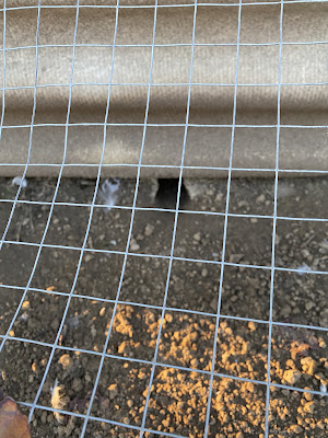 Concept Hygiène à Pont-du-Casse