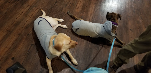 Manufacturer «Middle Ages Brewing Company», reviews and photos, 120 Wilkinson St, Syracuse, NY 13204, USA