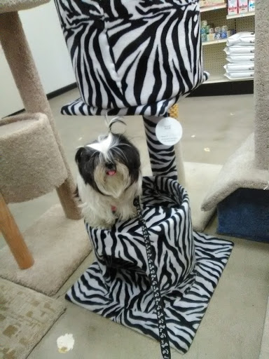 Pet Supply Store «Pet Supply», reviews and photos, 18545 Brookhurst St, Fountain Valley, CA 92708, USA