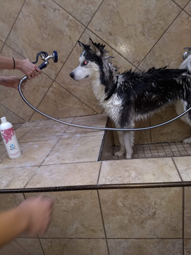 Pet Supply Store «Pet Valu», reviews and photos, 3201 Dayton Xenia Rd, Beavercreek, OH 45434, USA