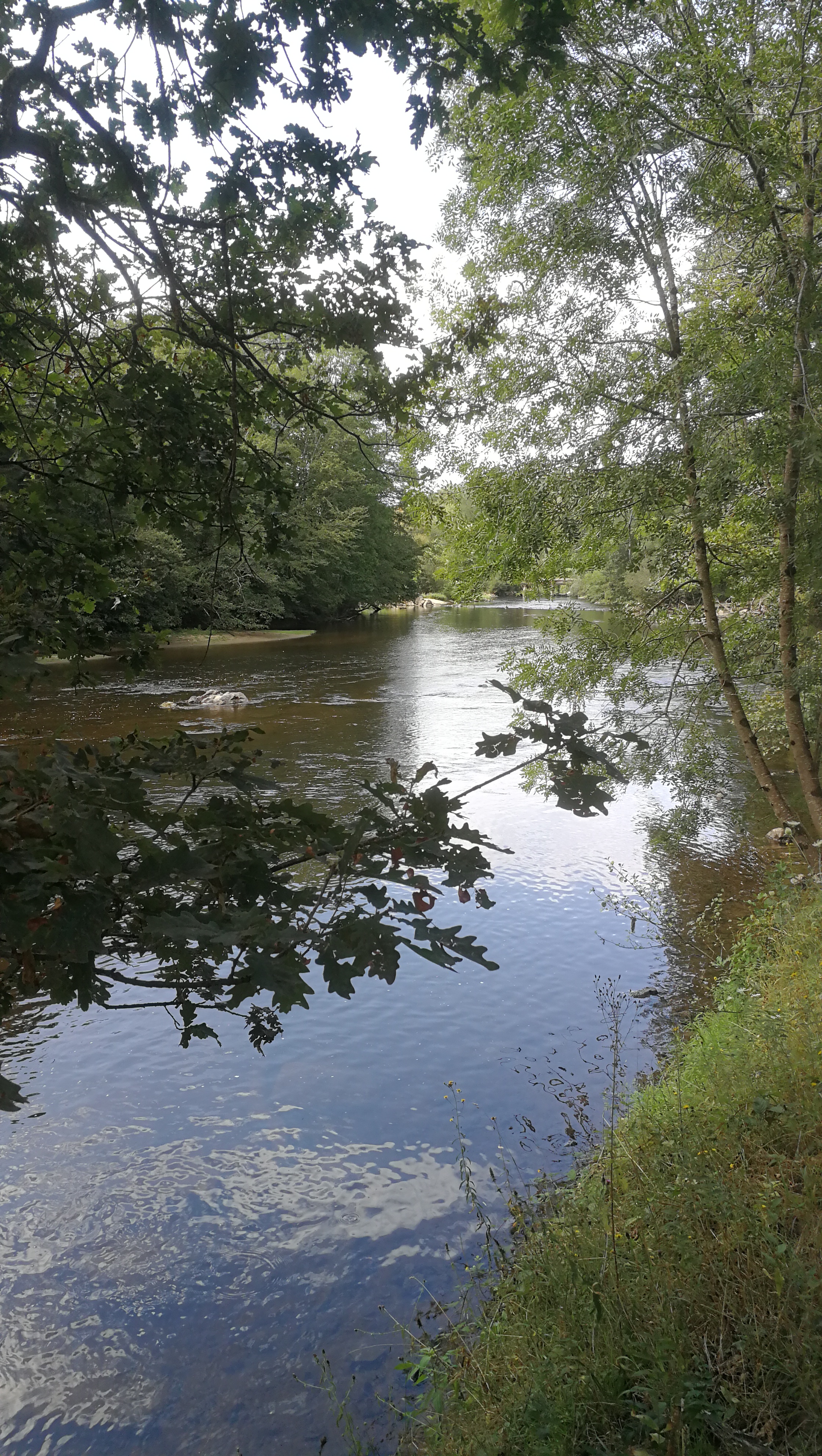 Photo n° 3 de l'avis de Bernard.a fait le 05/09/2020 à 17:34