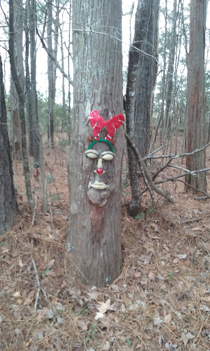 Golf Club «Kilmarlic Golf Club», reviews and photos, 215 West Side Ln, Powells Point, NC 27966, USA