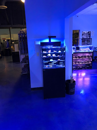 Aquarium «Artistic Aquariums, Inc», reviews and photos, 3400 N Arizona Ave #111, Chandler, AZ 85225, USA