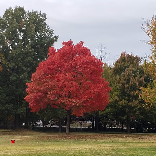 Community Center «Thomas Jefferson Community & Fitness Center», reviews and photos, 3501 2nd St S, Arlington, VA 22204, USA