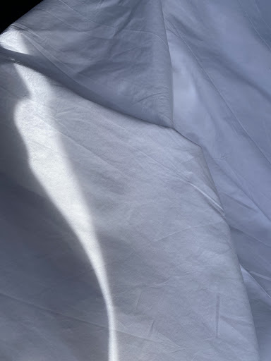 Dry Cleaner «ZIPS Dry Cleaners», reviews and photos, 12144 Tech Rd, Silver Spring, MD 20904, USA