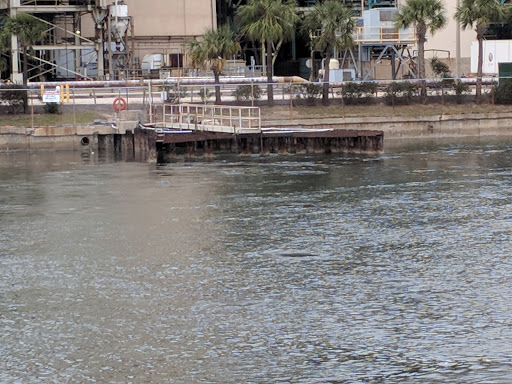 Nature Preserve «Manatee Viewing Center», reviews and photos, 6990 Dickman Rd, Apollo Beach, FL 33572, USA