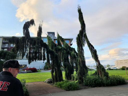 Tourist Attraction «Chihuly Bridge of Glass», reviews and photos, Bridge of Glass, Tacoma, WA 98402, USA