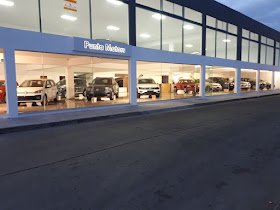 Punta Motors