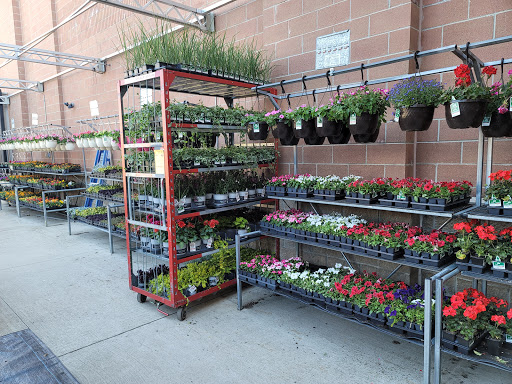 Department Store «Walmart Supercenter», reviews and photos, 2500 S Adams Rd, Rochester Hills, MI 48309, USA