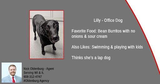 Insurance Agency «Nick Oldenburg - State Farm Insurance Agent», reviews and photos