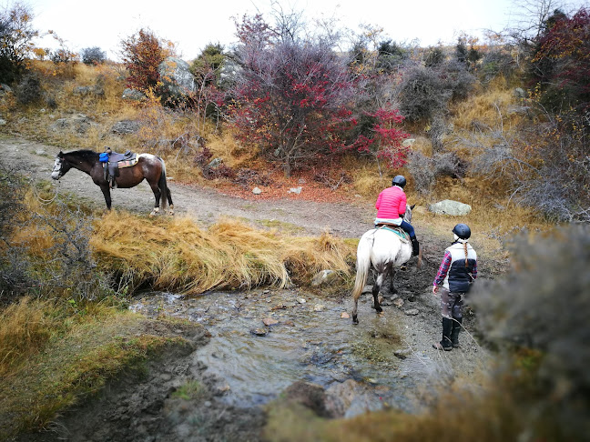 Reviews of Backcountry Saddle Expeditions Ltd in Alexandra - Sports Complex