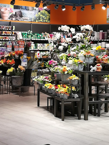 Rezensionen über Mühlematt Shopping in Reinach - Supermarkt