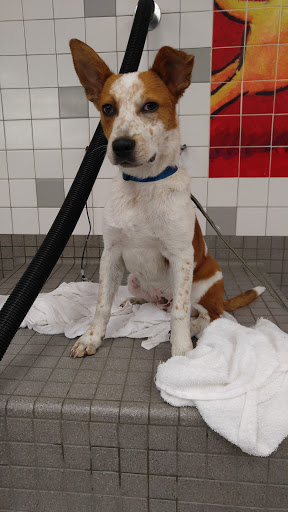 Pet Supply Store «Pet Food Express», reviews and photos, 15466 Los Gatos Blvd, Los Gatos, CA 95032, USA