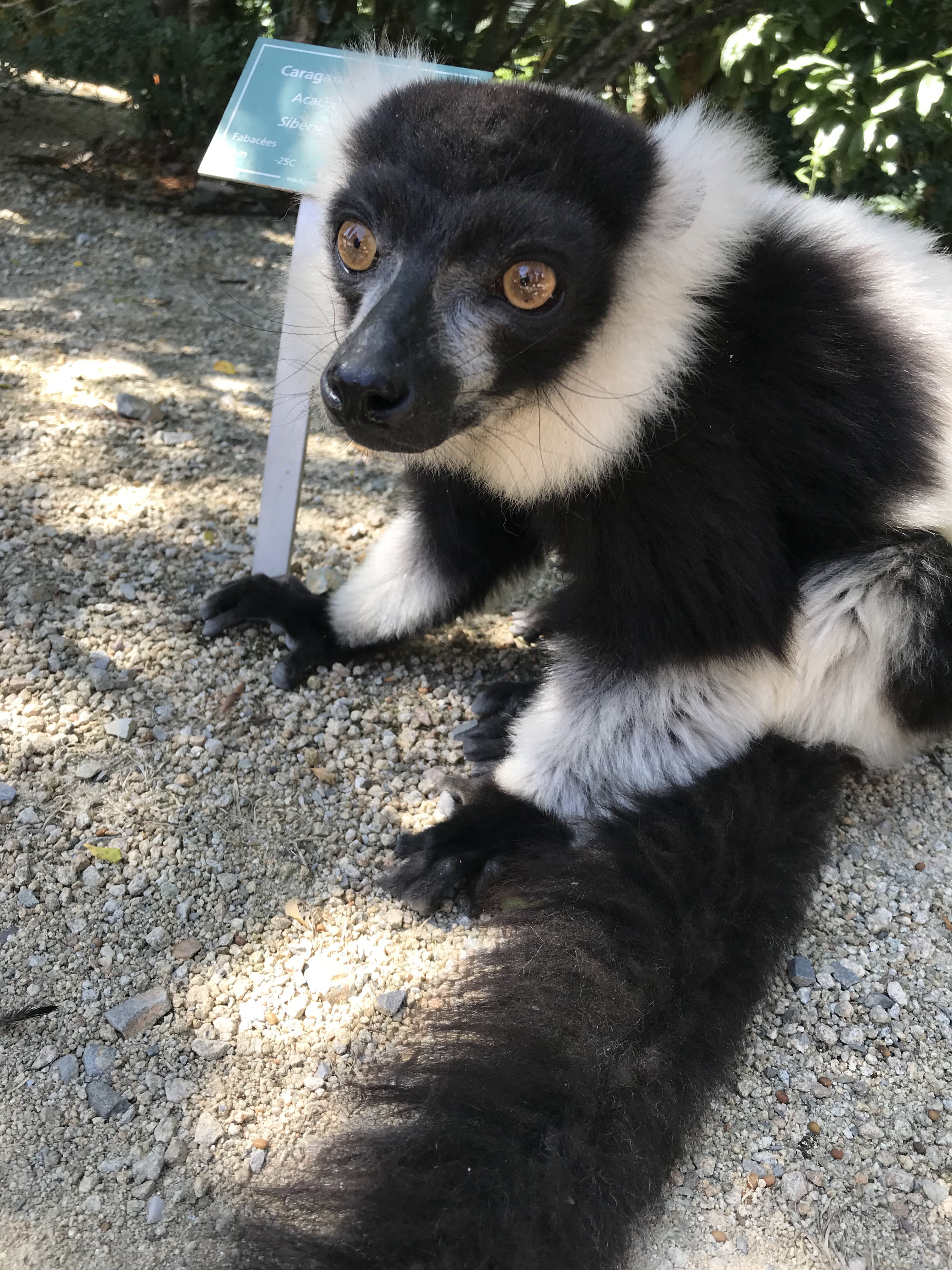 Photo n° 1 de l'avis de Jean-Bernard.A fait le 23/07/2022 à 16:27