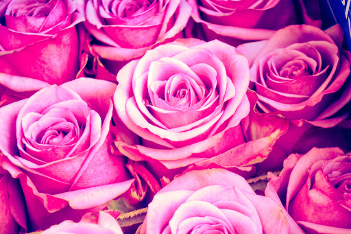 Florist «Fleur De Lis Florist», reviews and photos, 811 Castro St, Mountain View, CA 94041, USA