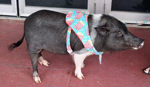 Movie Theater «Capitol II Theatre», reviews and photos, 116 1st St N, Newton, IA 50208, USA