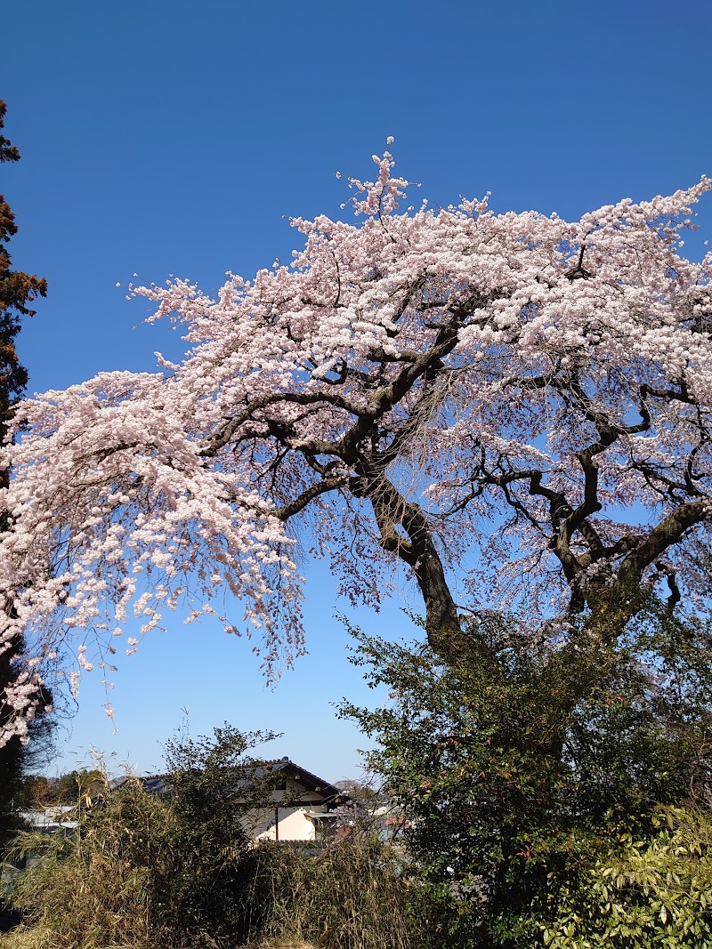 妙養寺