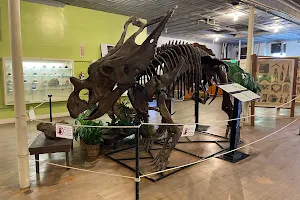 Buena Vista Museum of Natural History & Science image