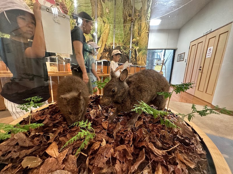 奄美野生生物保護センター