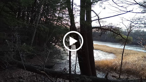 Historical Place Museum «Historic New England Hamilton House», reviews and photos, 40 Vaughans Ln, South Berwick, ME 03908, USA