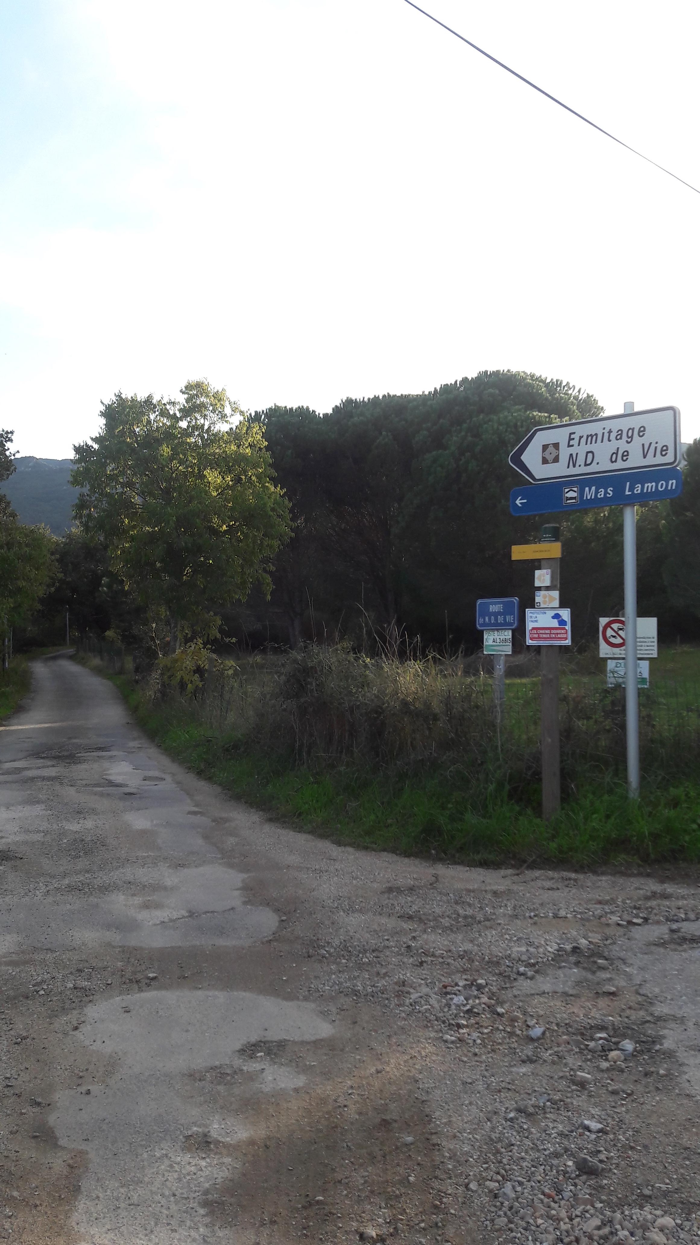 Photo n° 7 de l'avis de paloma.e fait le 24/11/2019 à 20:15