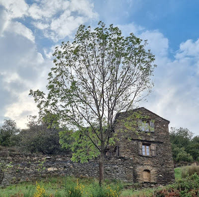 Gîte La Fare - Cévennes à Saint-Germain-de-Calberte