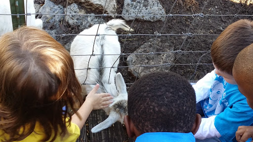 Tourist Attraction «Lucky Ladd Farms», reviews and photos, 4374 Rocky Glade Rd, Eagleville, TN 37060, USA