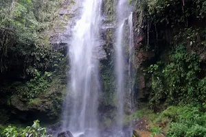 Uaimií State Forest image