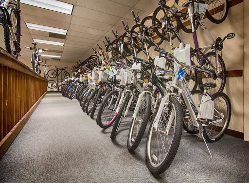 Bicycle Store «UBC - University Bicycle Center», reviews and photos, 1220 E Fletcher Ave, Tampa, FL 33612, USA