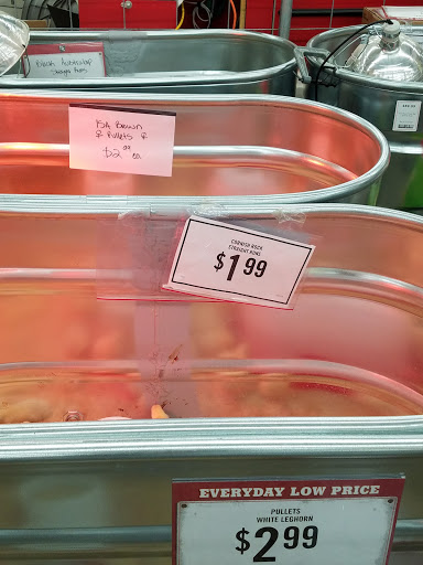 Home Improvement Store «Tractor Supply Co.», reviews and photos, 2101 Bay St STE A, Taunton, MA 02780, USA