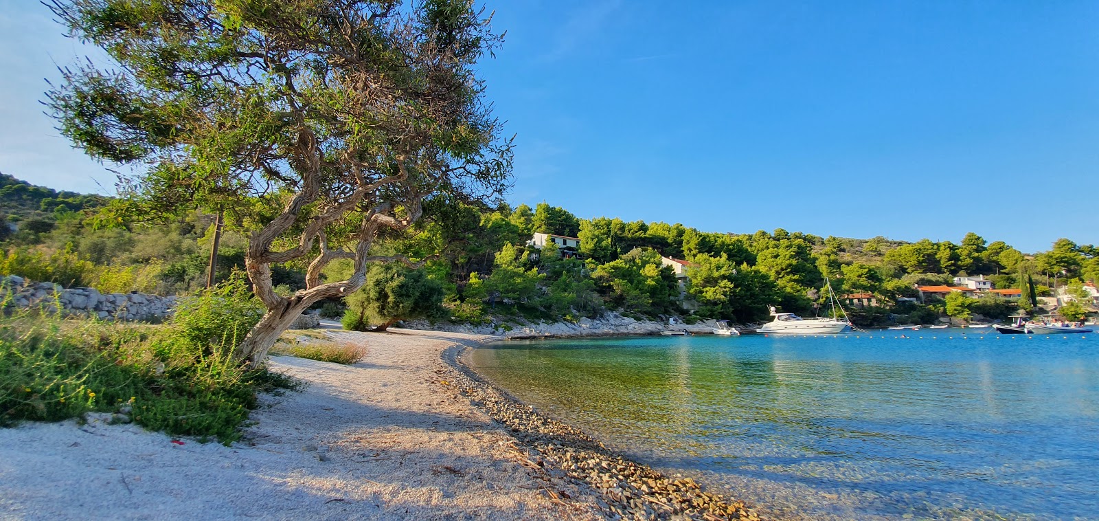 Fotografie cu Gornja Krusica beach cu nivelul de curățenie înalt