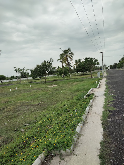 Google Maps image 20