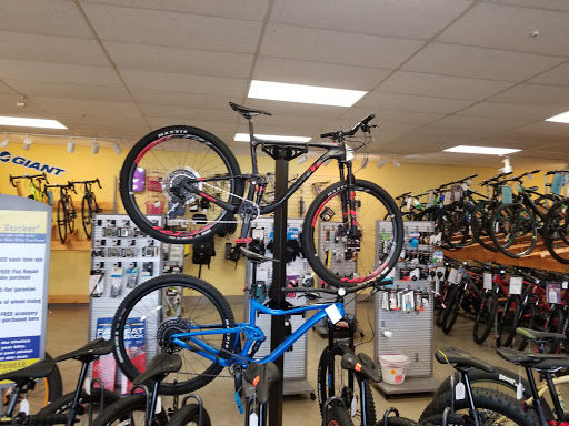 Bicycle Store «Pioneer Cycle», reviews and photos, 12741 Central Ave NE, Blaine, MN 55434, USA