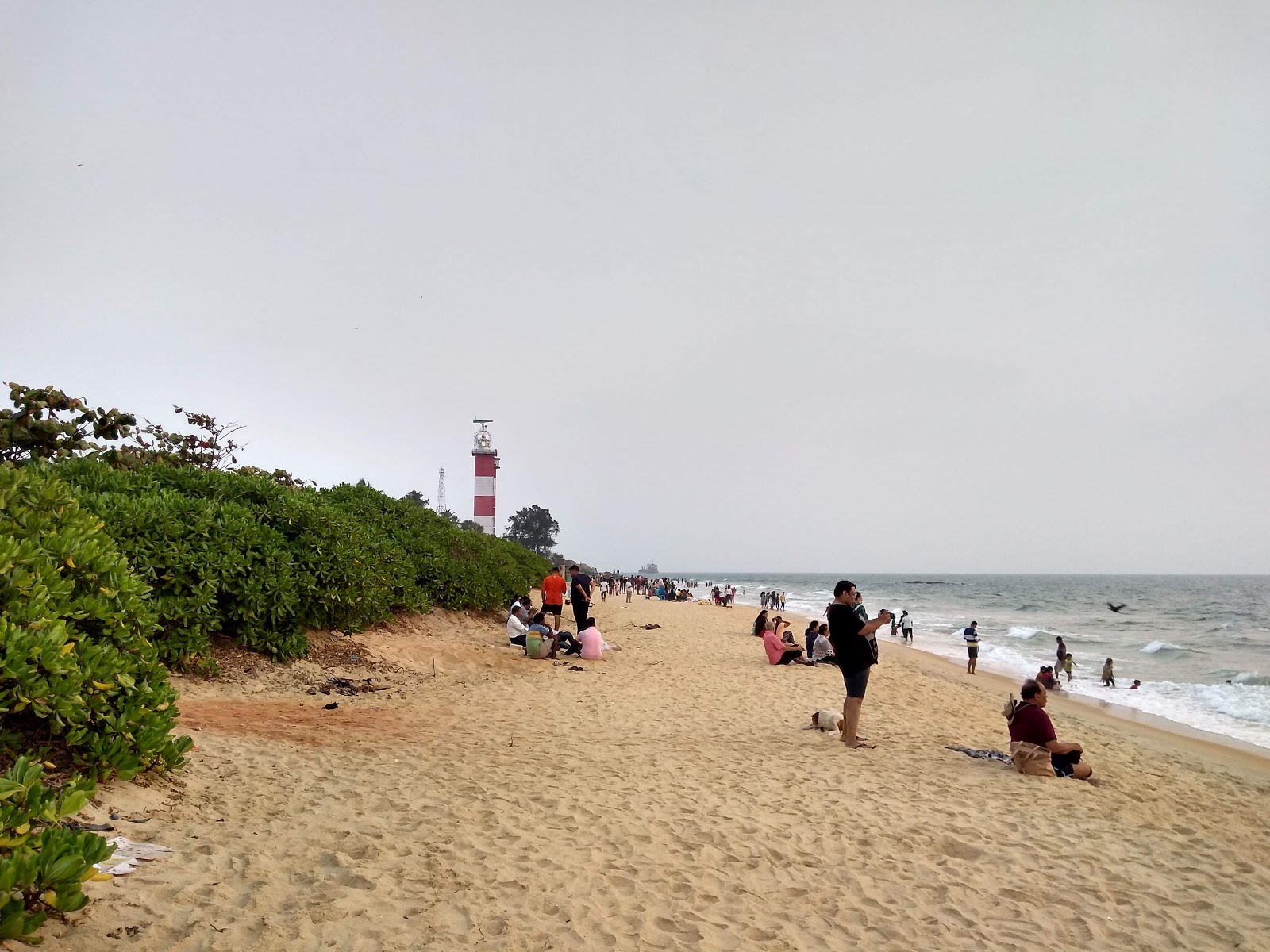 Suratkal Beach photo #8