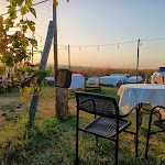 Photo n°1 de l'avis de a.e fait le 16/07/2023 à 14:03 sur le  Il Vigneto Stellato à Coriano