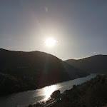 Photo n°2 de l'avis de Andreia.o fait le 12/09/2022 à 20:44 sur le  Restaurante Calça Curta à Castanheiro