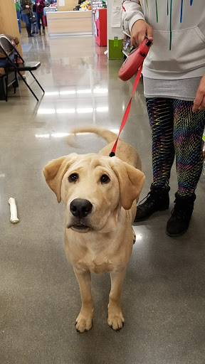 Pet Store «PetSmart», reviews and photos, 3152 Phoenix Center Dr, Washington, MO 63090, USA