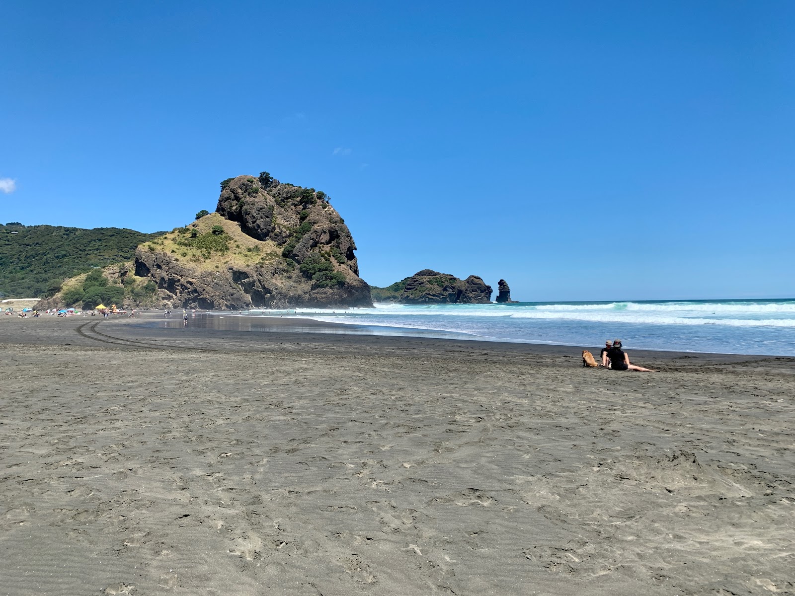 Photo of Piha Beach with turquoise pure water surface