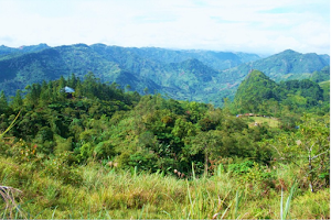 Central Cebu Protected Landscape image