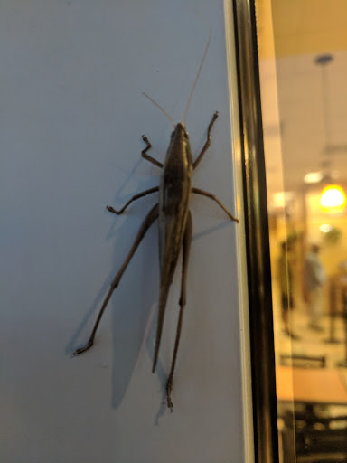 Supermarket «Publix Super Market at Midway Shopping Center», reviews and photos, 4900 Atlanta Hwy, Alpharetta, GA 30004, USA