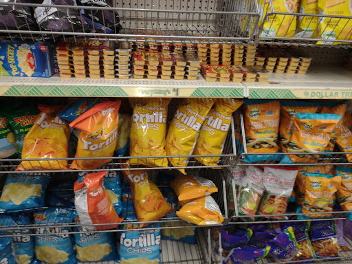 Dollar Store «Dollar Tree», reviews and photos, 21525 Village Lakes Shopping Center Dr, Land O Lakes, FL 34639, USA