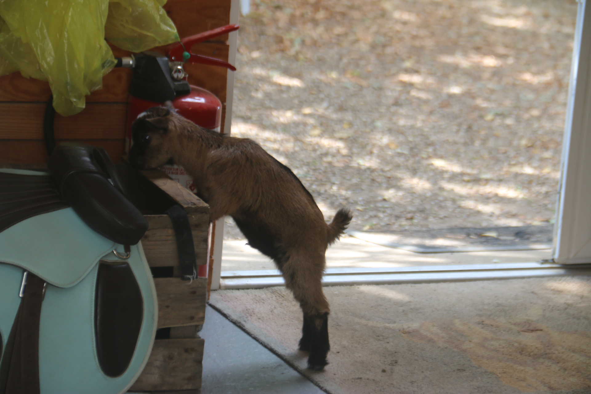 Photo n° 17 de l'avis de Patrice.o fait le 18/08/2023 à 18:06