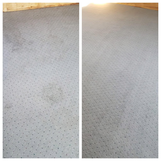 Carpet Cleaning Service «Indy Carpet Cleaning», reviews and photos, 5541 Guilford Ave, Indianapolis, IN 46220, USA