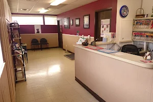 Animal Medical Clinic of Flint image