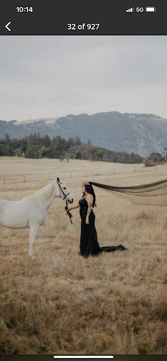 Bridal Shop «Bridal & Veil», reviews and photos, 1233 Camino del Rio S, San Diego, CA 92108, USA